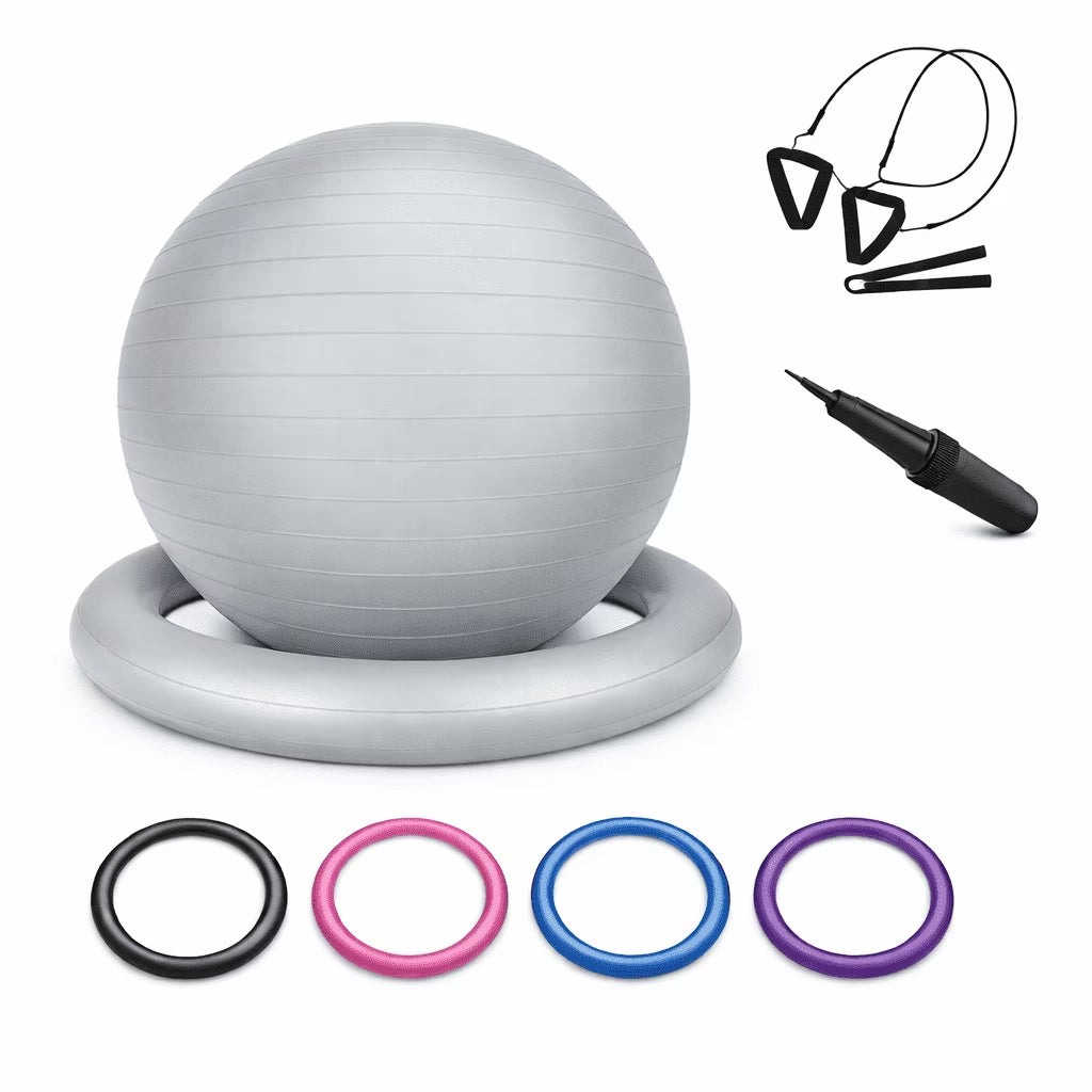 65Cm Yoga Ball with Base & Resistance Bands – Anti-Burst Matte Stability Ball – 750 Lb Capacity – Includes Pump & Straps – 1 Pack –Silver