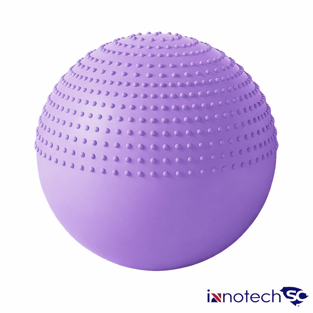 65 Cm (25.5 Inch) 2-In-1 Massage & Yoga Exercise Ball with Pump, Anti-Burst Stability Ball for Fitness, Pregnancy, Office Chair & Balance Training, Purple