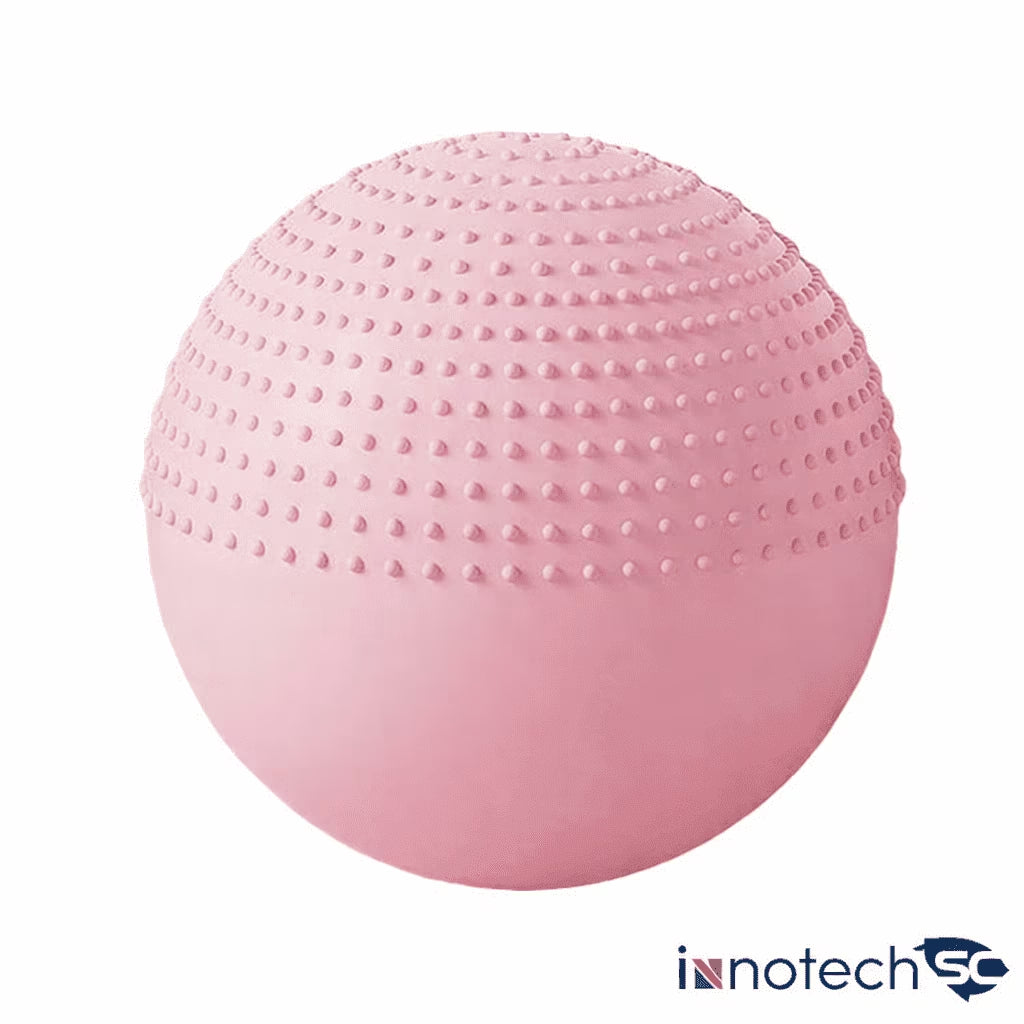65 Cm (25.5 Inch) 2-In-1 Massage & Yoga Exercise Ball with Pump, Anti-Burst Stability Ball for Fitness, Pregnancy, Office Chair & Balance Training, Pink