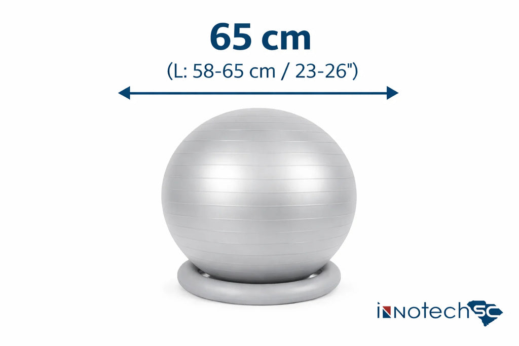65Cm Yoga Ball with Base & Resistance Bands – Anti-Burst Matte Stability Ball – 750 Lb Capacity – Includes Pump & Straps – 1 Pack –Silver