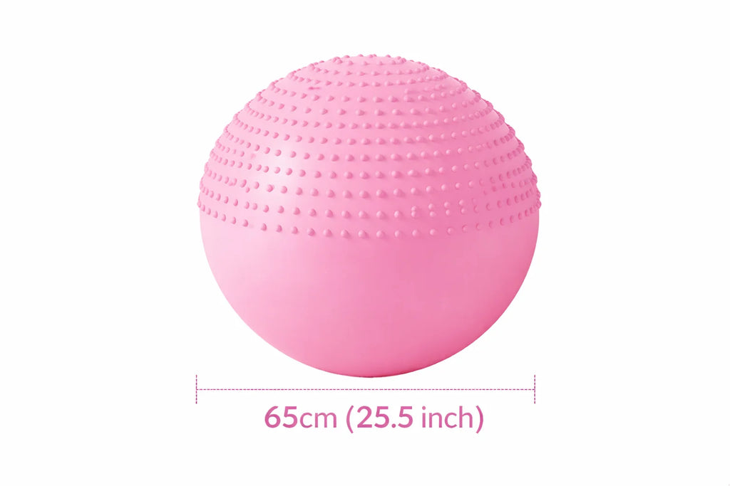65 Cm (25.5 Inch) 2-In-1 Massage & Yoga Exercise Ball with Pump, Anti-Burst Stability Ball for Fitness, Pregnancy, Office Chair & Balance Training, Pink